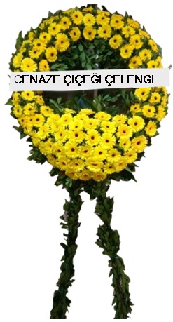 cenaze �elenk �i�e�i Dikmen ankara �i�ek ma�azas� , �i�ek�i adresleri 