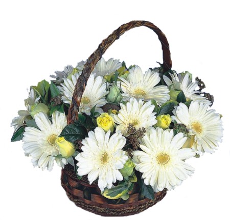 Dikmen ankara �i�ek ma�azas� , �i�ek�i adresleri  Sepet i�inde  gerbera aranjmani 