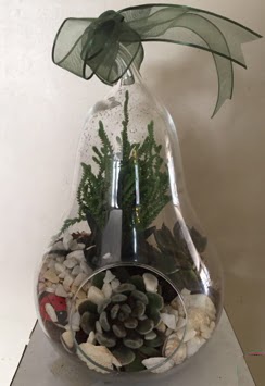 Orta boy armut terrarium 3 kakt�s Ankara Dikmen �i�ek sipari�i sitesi 