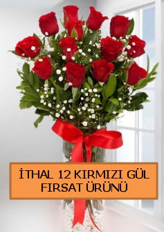  �thal k�rm�z� 12 adet kaliteli g�l Dikmen Akp�nar Ankara  hediye sevgilime hediye �i�ek 