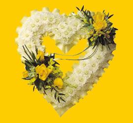 Dikmen Ankara �i�ek g�nder uluslararas� �i�ek g�nderme  1.20m x 1m  Gerbera - G�ller