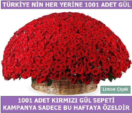 1001 Adet k�rm�z� g�l Bu haftaya �zel Dikmen Keklikp�nar� �i�ek sipari�i vermek 
