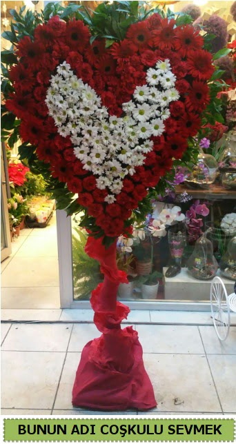 Co�kulu bir a�k �i�e�i Dikmen Akp�nar Ankara  hediye sevgilime hediye �i�ek 
