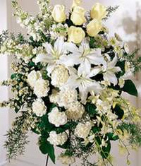 Ankara Dikmen �lker �i�ek yolla , �i�ek g�nder , �i�ek�i   Kazablanka g�l ve karanfil ferforje
