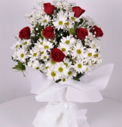 7 adet k�rm�z� g�l ve papatyalar krizantem Ankara Dikmen kaliteli taze ve ucuz �i�ekler 
