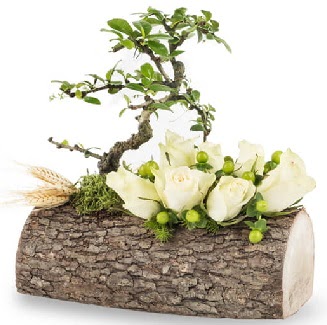 Doal ktkte bonsai aac ve 7 beyaz gl Ankara Dikmen Osmantemiz online iek gnderme sipari 