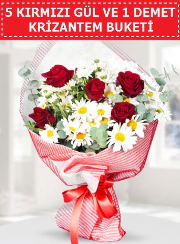 5 adet k�rm�z� g�l ve krizantem buketi Ankara Dikmen 14 �ubat sevgililer g�n� �i�ek 