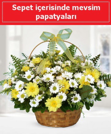 Sepet i�erisinde mevsim papatyalar� Dikmen Akp�nar Ankara  hediye sevgilime hediye �i�ek 