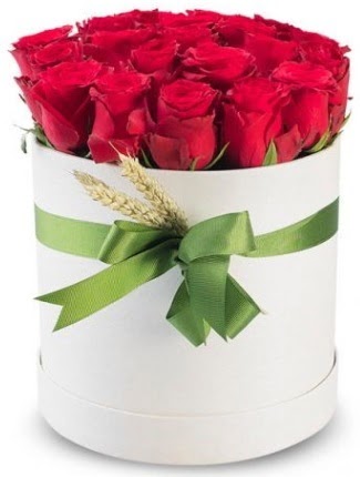 25 adet �zel kutuda k�rm�z� g�l Dikmen �lkad�m �i�ek g�nderme sitemiz g�venlidir  s�z �i�ekler