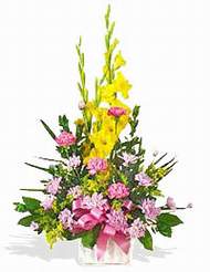 ankara �i�ek�i Dikmen ucuz �i�ek g�nder  sepet i�inde Glayor karanfil �zel tanzim