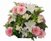 Dikmen Naci�ak�r �i�ek�i ma�azas�  G�l kazablanka gerbera sepet �i�ek modeli