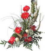 Dikmen Naci�ak�r �i�ek�i ma�azas�  Kirmizi gerbera �zel tanzim