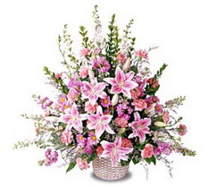 Dikmen ankara �i�ek ma�azas� , �i�ek�i adresleri  Tanzim mevsim �i�eklerinden �i�ek modeli
