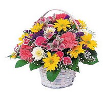�ve�ler Dikmen anneler g�n� �i�ek yolla  mevsim �i�ekleri sepeti �zel