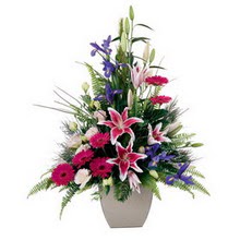 Ankara Dikmen �lker �i�ek yolla , �i�ek g�nder , �i�ek�i   lilyum gerbera iris lilyum