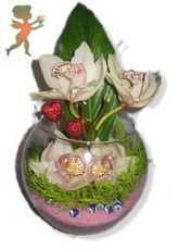 fanus ierisinde 4 orkide Ankara Dikmen kaliteli taze ve ucuz iekler 