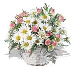 pembe g�ller ve krizantemler  Dikmen Metin Akku� �i�ek sat��� , �i�ek�i , �i�ek�ilik 