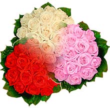 3 renkte g�l seven sever  �ve�ler Dikmen anneler g�n� �i�ek yolla 
