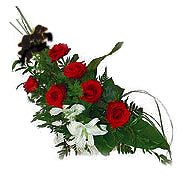 7 adet g�l ve kazablanka  Dikmen Akp�nar Ankara  hediye sevgilime hediye �i�ek 