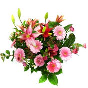 lilyum ve gerbera �i�ekleri - �i�ek se�imi - Ankara Dikmen cicekciler , cicek siparisi 