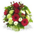 karanfil gerbera ve g�ller - d�s�nenelere �zel - Ankara Dikmen cicekciler , cicek siparisi 