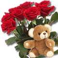 11 adet g�l ve ayicik buket  Dikmen cicek , cicekci 