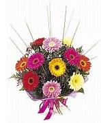 karisik gerbera �i�ekleri Dikmen cicek , cicekci 
