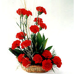 Dikmen �lkad�m �i�ek g�nderme sitemiz g�venlidir  sepet i�erisinde 17 adet karanfil tanzimi
