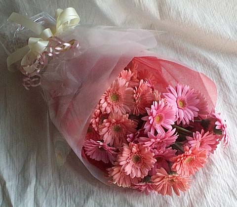 17 adet gerbera buketi Dikmen Harbiye ankara �nternetten �i�ek sipari�i 