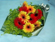 t�l i�erisinde gerbera �i�ekleri 11 adet Dikmen Harbiye ankara �nternetten �i�ek sipari�i 