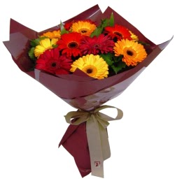 Ankara Dikmen kaliteli taze ve ucuz �i�ekler  13 ADET KARISIK GERBERA BUKETI
