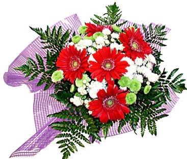 gerbera ve krizantem demeti �i�ek�i Dikmen �i�ek servisi , �i�ek�i adresleri 