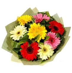 9 adet karisik gerbera demeti Ankara Dikmen M�rselulu� hediye �i�ek yolla 