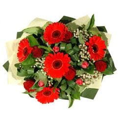 Dikmen Akp�nar Ankara  hediye sevgilime hediye �i�ek   5 adet kirmizi g�l 5 adet gerbera demeti