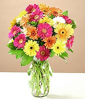 Dikmen Metin Akku� �i�ek sat��� , �i�ek�i , �i�ek�ilik  17 adet karisik gerbera