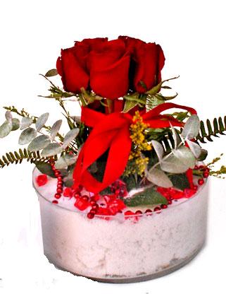 Dikmen Metin Akku� �i�ek sat��� , �i�ek�i , �i�ek�ilik  SEVMEK G�ZEL DIYENLERE 7 ADET G�L