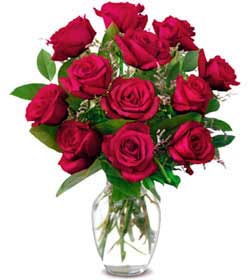 Ankara Dikmen �lker �i�ek yolla , �i�ek g�nder , �i�ek�i   1 d�zine kirmizi g�l sevenlere �zel vazo g�lleri