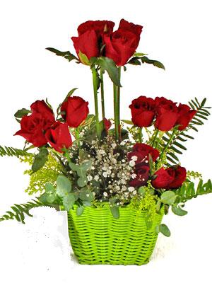 Dikmen �lkad�m �i�ek g�nderme sitemiz g�venlidir  �i�ek siparisi 9 adet kirmizi g�l