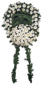 Cenaze �elenk , cenaze �i�ekleri , �elengi Dikmen �lkad�m �i�ek g�nderme sitemiz g�venlidir 