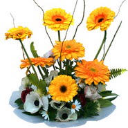 camda gerbera ve mis kokulu kir �i�ekleri Dikmen Ankara �i�ek g�nder uluslararas� �i�ek g�nderme 