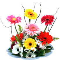 Dikmen Keklikp�nar� �i�ek online �i�ek sipari�i  camda gerbera ve mis kokulu kir �i�ekleri 