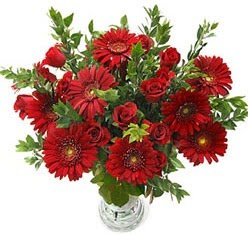5 adet kirmizi g�l 5 adet gerbera aranjmani Dikmen Keklikp�nar� �i�ek online �i�ek sipari�i 