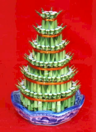 Lucky Bamboo sans melegi �i�egi Yukar� Dikmen ankara �i�ekleri g�venli kaliteli h�zl� �i�ek 