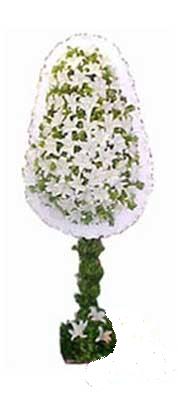Dikmen ankara �i�ek ma�azas� , �i�ek�i adresleri  nikah , d�g�n , a�ilis �i�ek modeli Ankara Dikmen �lker �i�ek yolla , �i�ek g�nder , �i�ek�i  