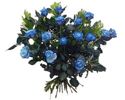Dikmen Keklikp�nar� �i�ek sipari�i vermek  9 mavi g�l g�zel bir buket