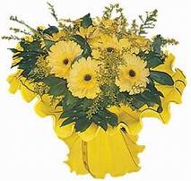 �i�ek�i Dikmen �i�ek servisi , �i�ek�i adresleri  9 adet sari g�zel gerbera