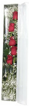 Dikmen ankara �i�ek ma�azas� , �i�ek�i adresleri   5 adet g�lden kutu g�ller
