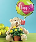 �i�ek�i Dikmen �i�ek servisi , �i�ek�i adresleri  Ayicik balon ve saksida sari g�ller