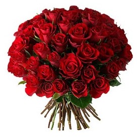 �ve�ler Dikmen anneler g�n� �i�ek yolla  33 adet k�rm�z� g�l buketi