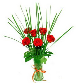 �ve�ler Dikmen anneler g�n� �i�ek yolla  6 adet k�rm�z� g�llerden vazo �i�e�i